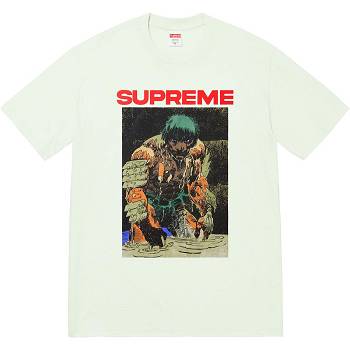 T Shirts Supreme Ronin Tee Menthe | FR238KI